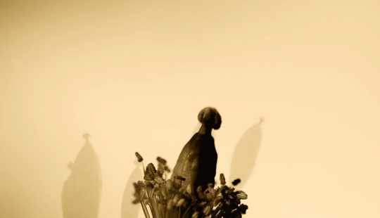 Dreamlike Photographs Of Poppies By Julie Wang Dreamlike Photographs Of Poppies By Julie Wang