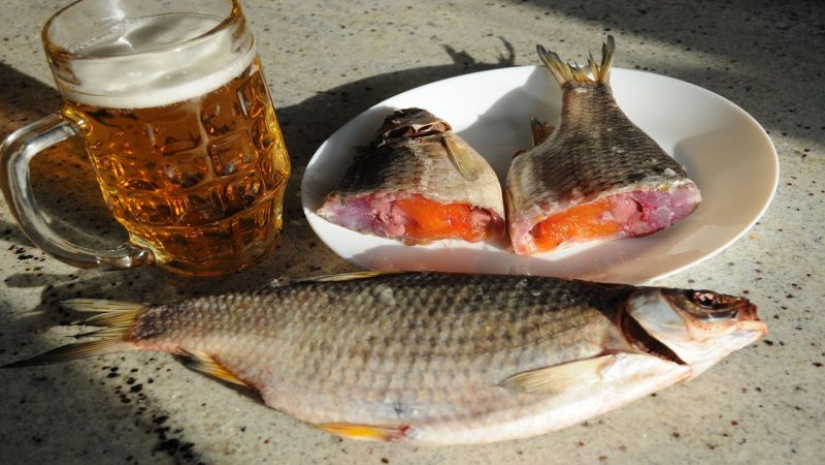 Dried, cured, smoked: as fish lovers to beer to protect themselves from parasites and cancer Dried, cured, smoked: as fish lovers to beer to protect themselves from parasites and cancer