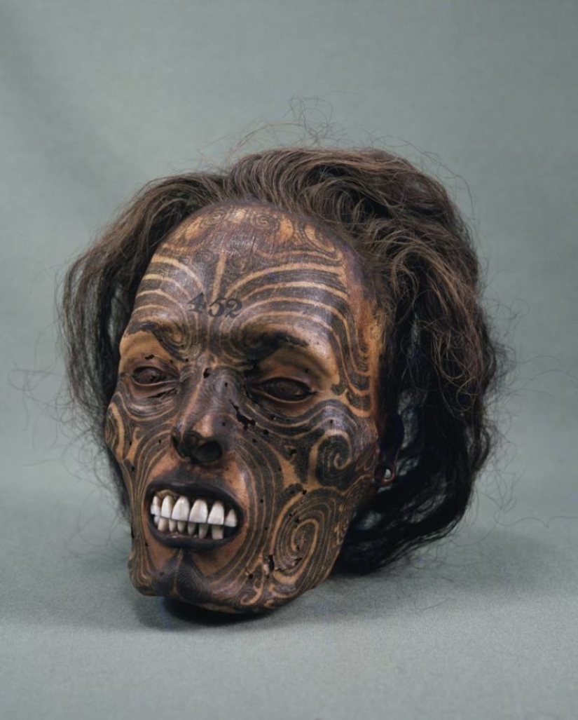 Dried mokomokai heads - eerie relics of the Maori people Dried mokomokai heads - eerie relics of the Maori people