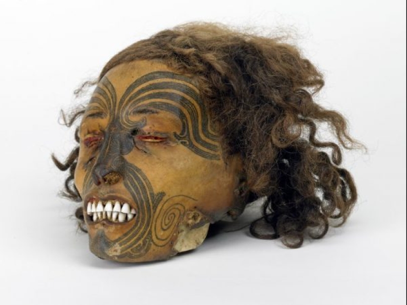Dried mokomokai heads - eerie relics of the Maori people Dried mokomokai heads - eerie relics of the Maori people