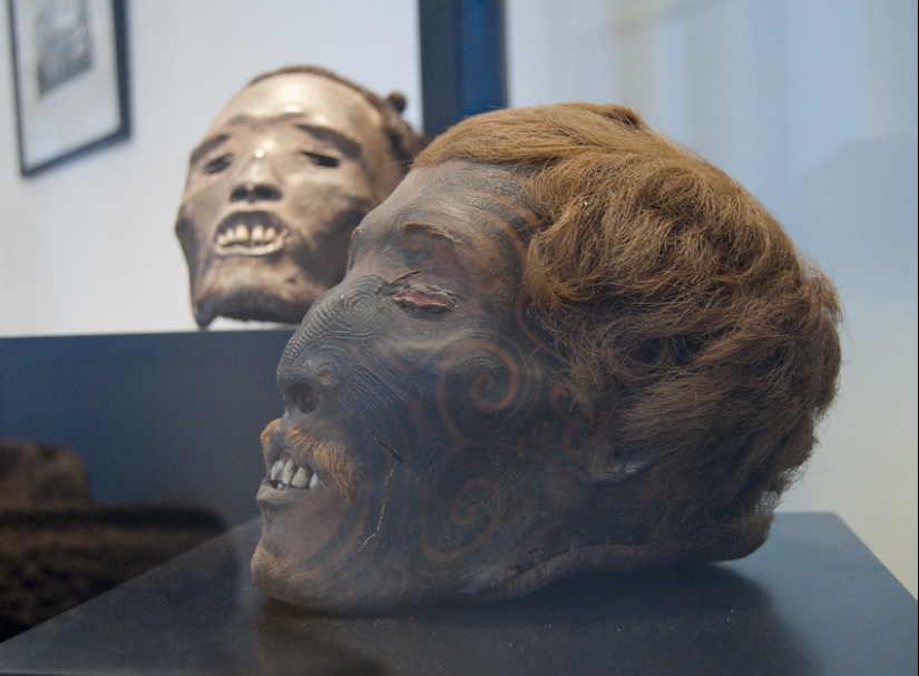 Dried mokomokai heads - eerie relics of the Maori people Dried mokomokai heads - eerie relics of the Maori people