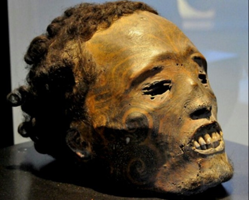 Dried mokomokai heads - eerie relics of the Maori people Dried mokomokai heads - eerie relics of the Maori people