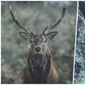 Each photo is like a painting: the Belgian creates expressive landscapes of Northern Europe Each photo is like a painting: the Belgian creates expressive landscapes of Northern Europe