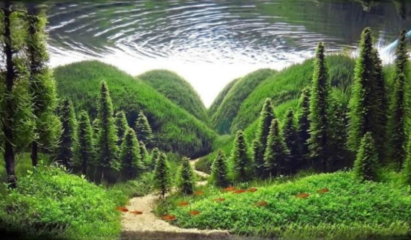 El arte de los acuarios: increíbles paisajes submarinos El arte de los acuarios: increíbles paisajes submarinos