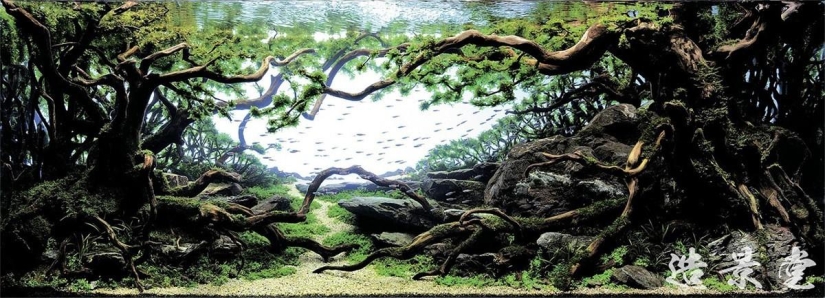 El arte de los acuarios: increíbles paisajes submarinos El arte de los acuarios: increíbles paisajes submarinos