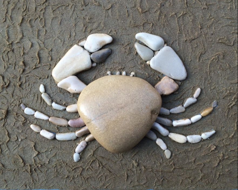 El artista hace pinturas increíblemente realistas a partir de piedras encontradas en la playa
