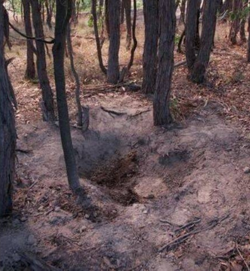 El asesinato de Rachel Barber: La horrible historia de la niñera psicótica que intentó robar la identidad de otra persona El asesinato de Rachel Barber: La horrible historia de la niñera psicótica que intentó robar la identidad de otra persona