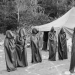 El Culto Blackburn, o Cómo Las Amas de Casa Fundaron una Secta con sacrificios humanos El Culto Blackburn, o Cómo Las Amas de Casa Fundaron una Secta con sacrificios humanos