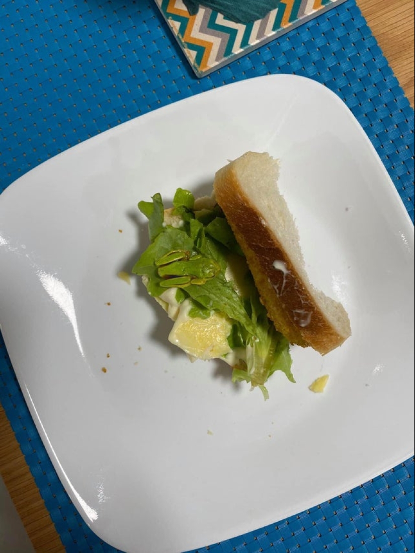 El escondite: 22 fotos que te harán mirar dos veces El escondite: 22 fotos que te harán mirar dos veces