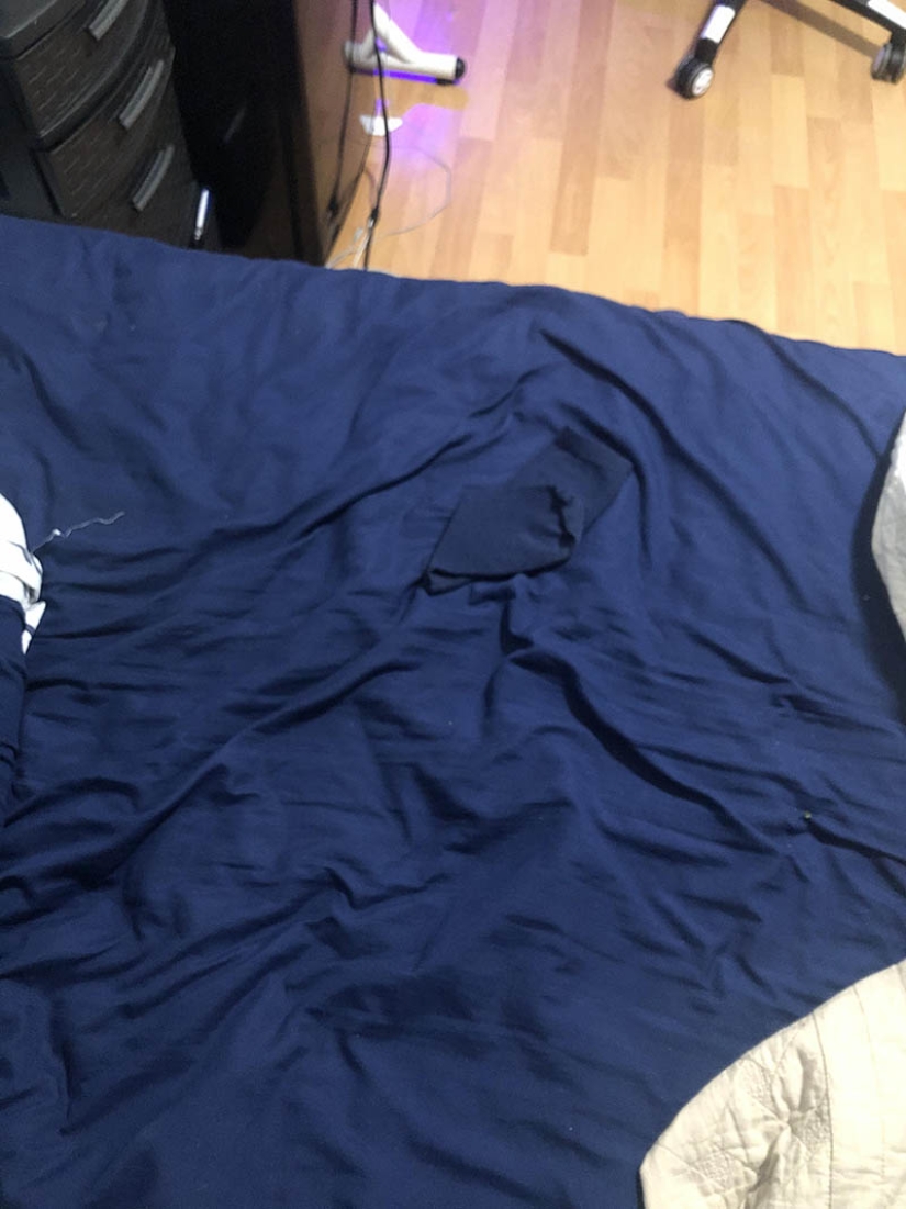 El escondite: 22 fotos que te harán mirar dos veces El escondite: 22 fotos que te harán mirar dos veces