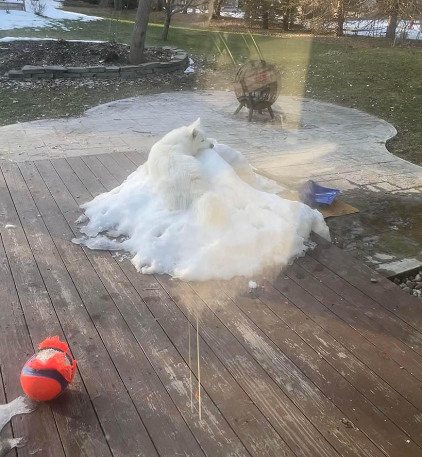 El escondite: 22 fotos que te harán mirar dos veces El escondite: 22 fotos que te harán mirar dos veces