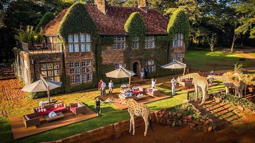 El exclusivo Giraffe Manor Hotel ofrece cenas con jirafas