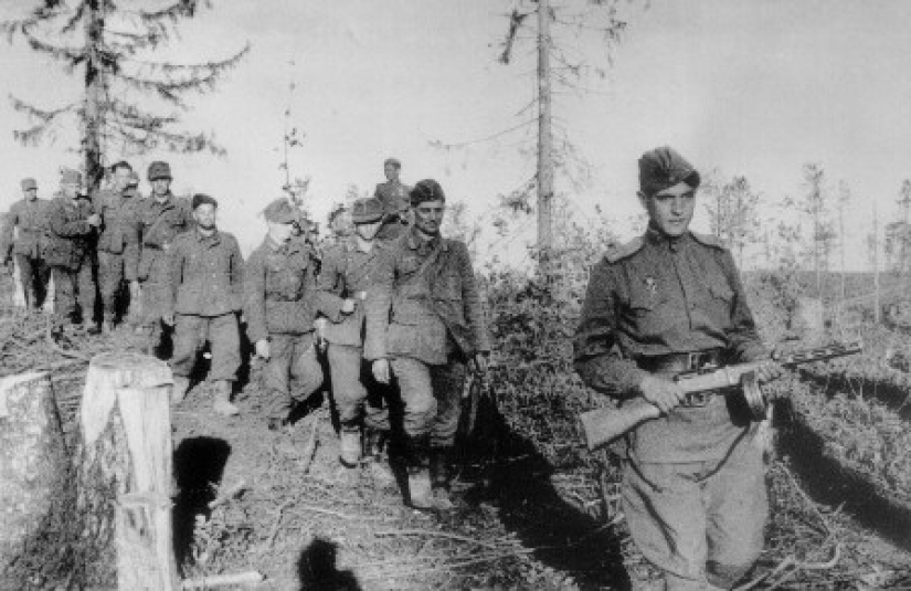 El fenómeno de la federación de rusia de la mano-a-mano de combate, o 70 victorias en la línea de frente scout Konyaeva El fenómeno de la federación de rusia de la mano-a-mano de combate, o 70 victorias en la línea de frente scout Konyaeva