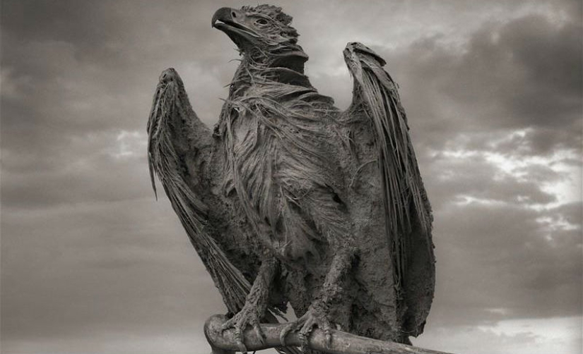 El fenómeno natural del Lago Natron