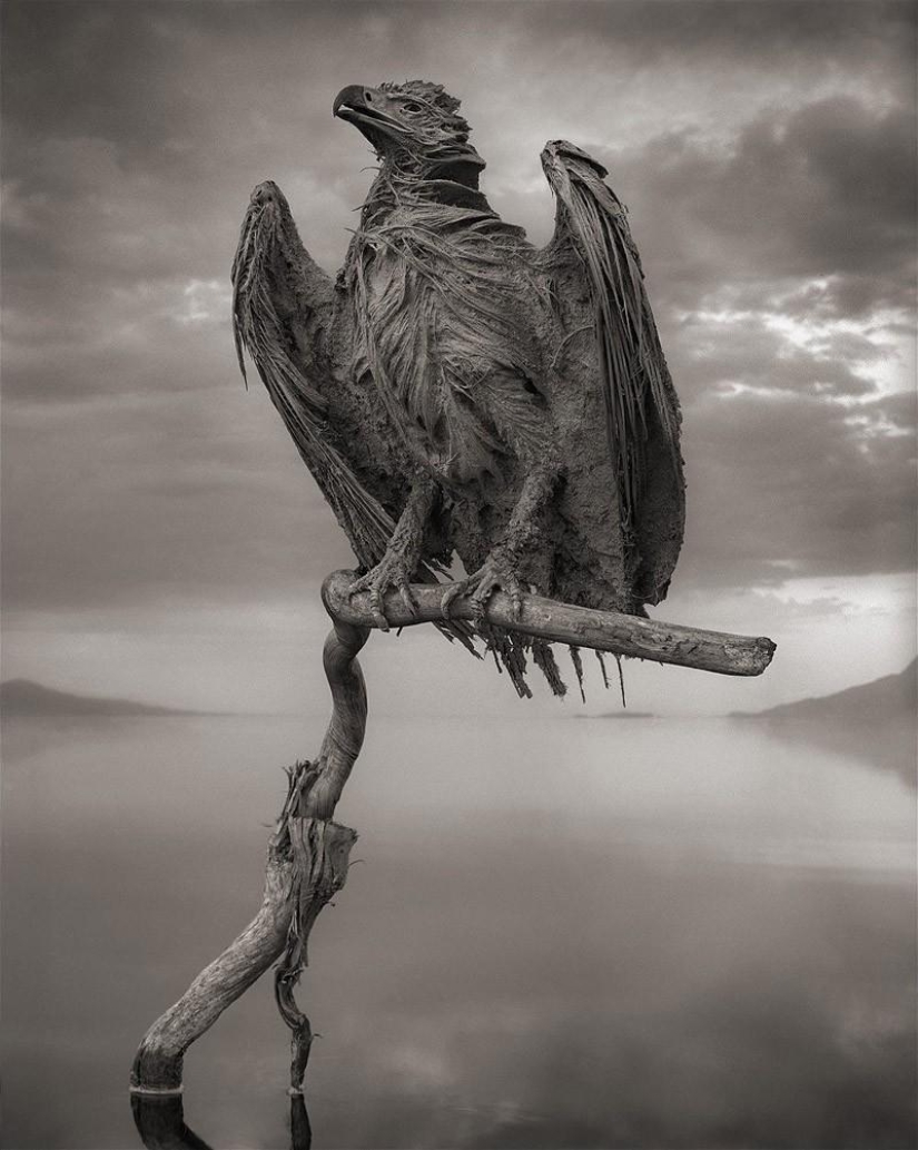 El fenómeno natural del Lago Natron