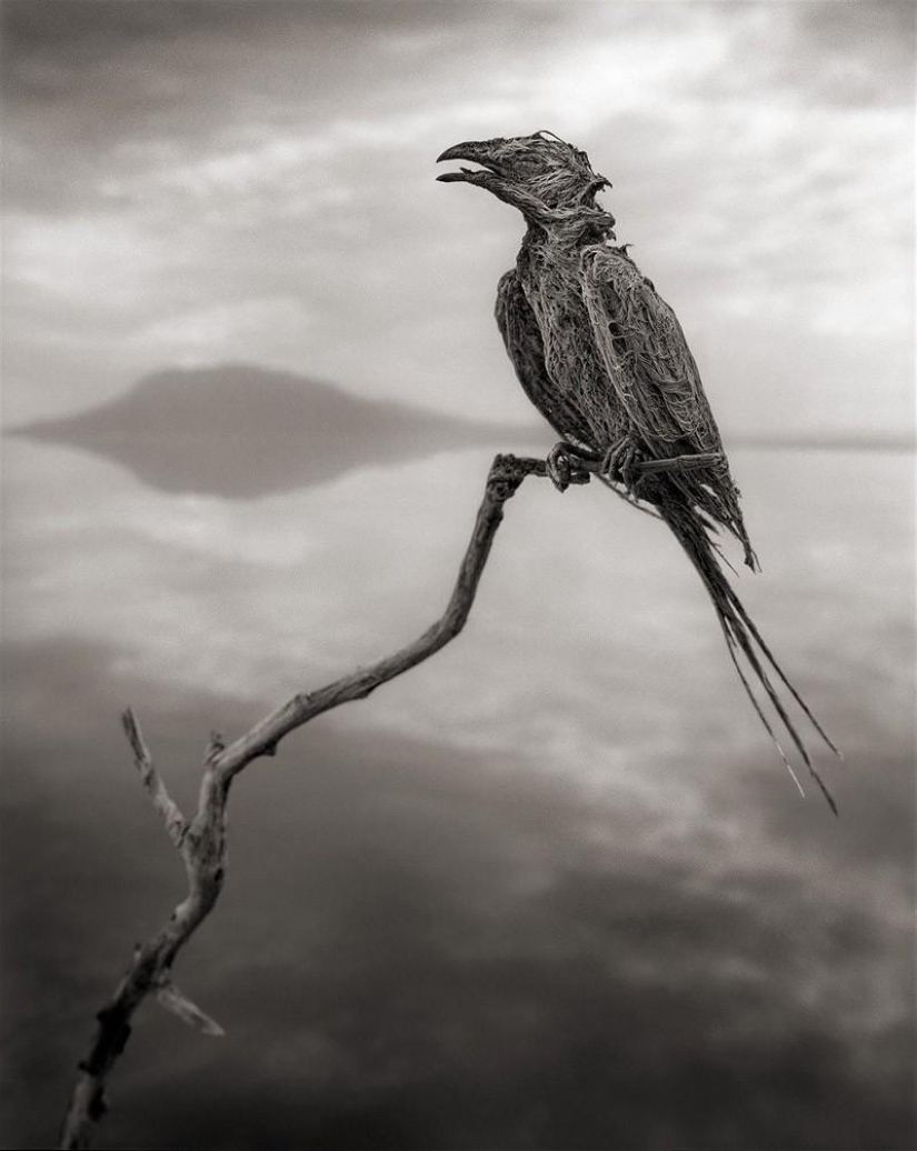 El fenómeno natural del Lago Natron