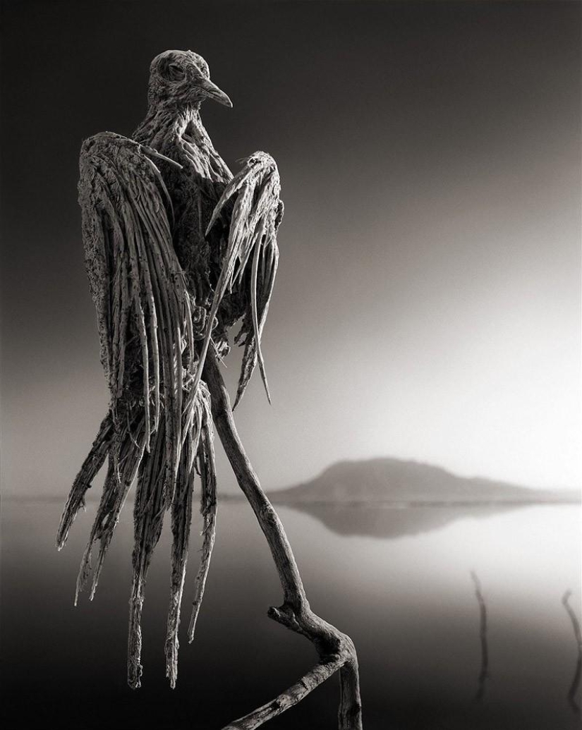 El fenómeno natural del Lago Natron