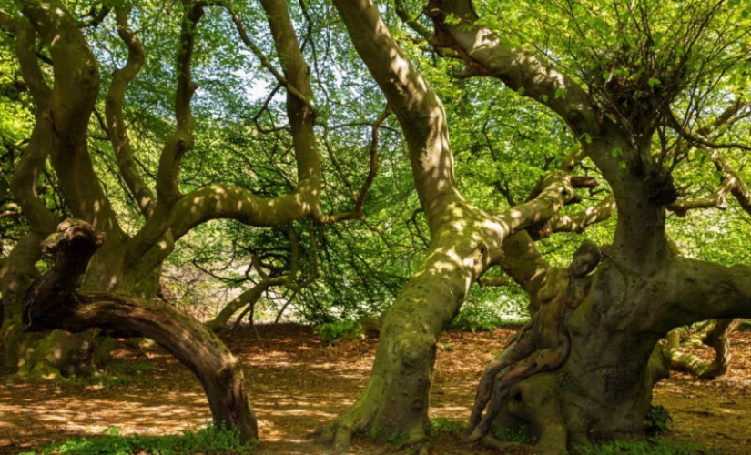 El fotógrafo esconde modelos desnudos en sus obras de paisaje. Podemos encontrarlos? El fotógrafo esconde modelos desnudos en sus obras de paisaje. Podemos encontrarlos?
