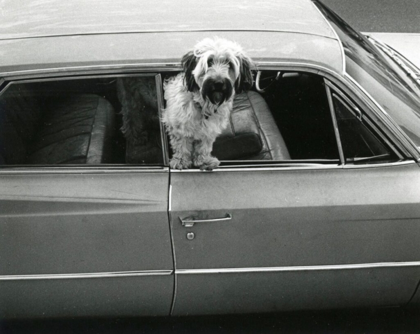 El fotógrafo Gary Kruger es un virtuoso de los momentos, encantado por la calle. El fotógrafo Gary Kruger es un virtuoso de los momentos, encantado por la calle.