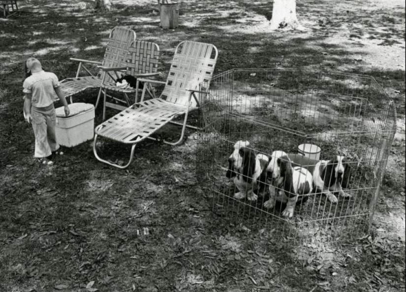 El fotógrafo Gary Kruger es un virtuoso de los momentos, encantado por la calle. El fotógrafo Gary Kruger es un virtuoso de los momentos, encantado por la calle.