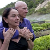 El fotógrafo y su esposa durante 20 años ha plantado 2 millones de árboles y se regenera el bosque destruido El fotógrafo y su esposa durante 20 años ha plantado 2 millones de árboles y se regenera el bosque destruido