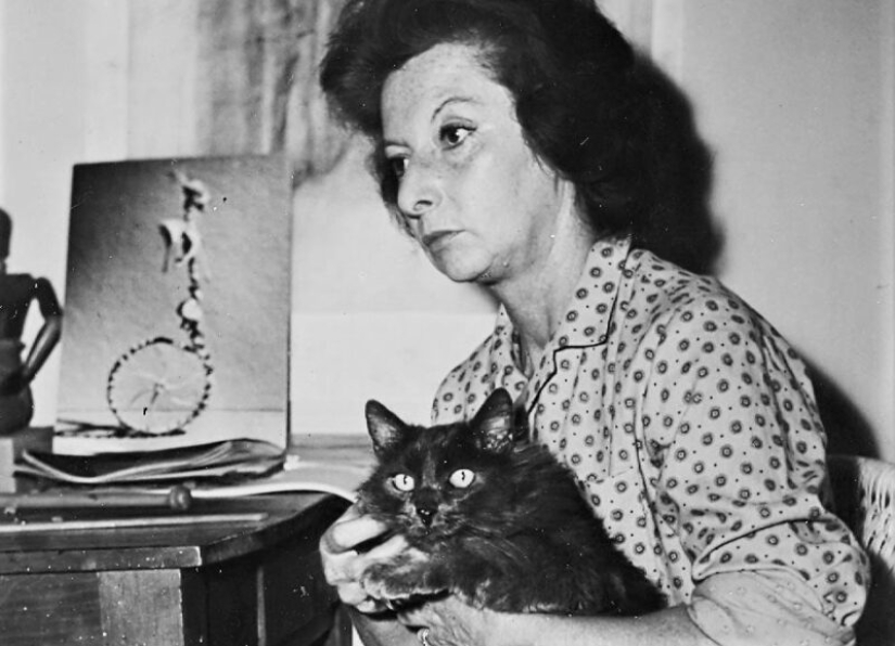 El genio del surrealismo Remedios Varo: la búsqueda de la felicidad de Europa a México El genio del surrealismo Remedios Varo: la búsqueda de la felicidad de Europa a México