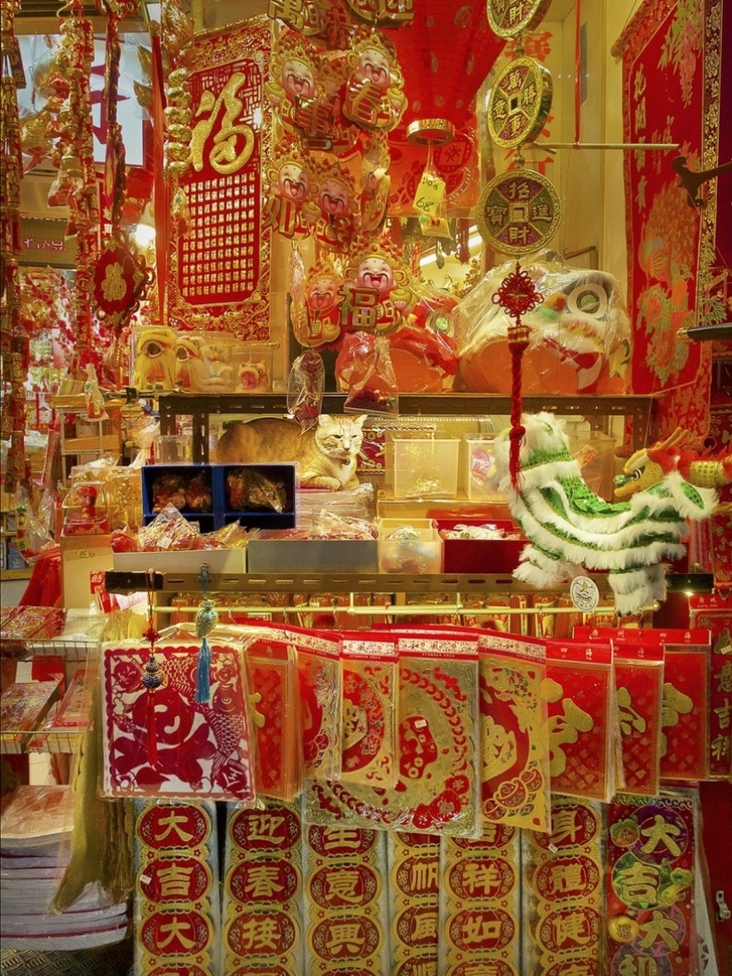 El Guardia Bigotudo: La vida secreta de los gatos en las tiendas de Hong Kong El Guardia Bigotudo: La vida secreta de los gatos en las tiendas de Hong Kong