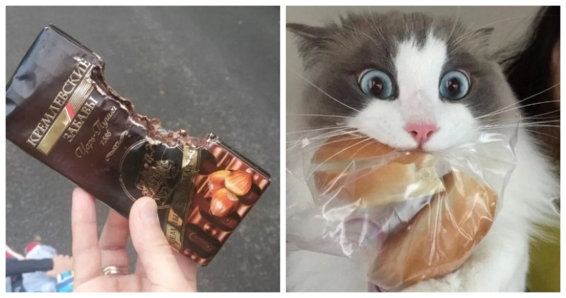 El hambre no es una tía: 25 fotos sobre un apetito maravilloso que definitivamente te hará reír El hambre no es una tía: 25 fotos sobre un apetito maravilloso que definitivamente te hará reír