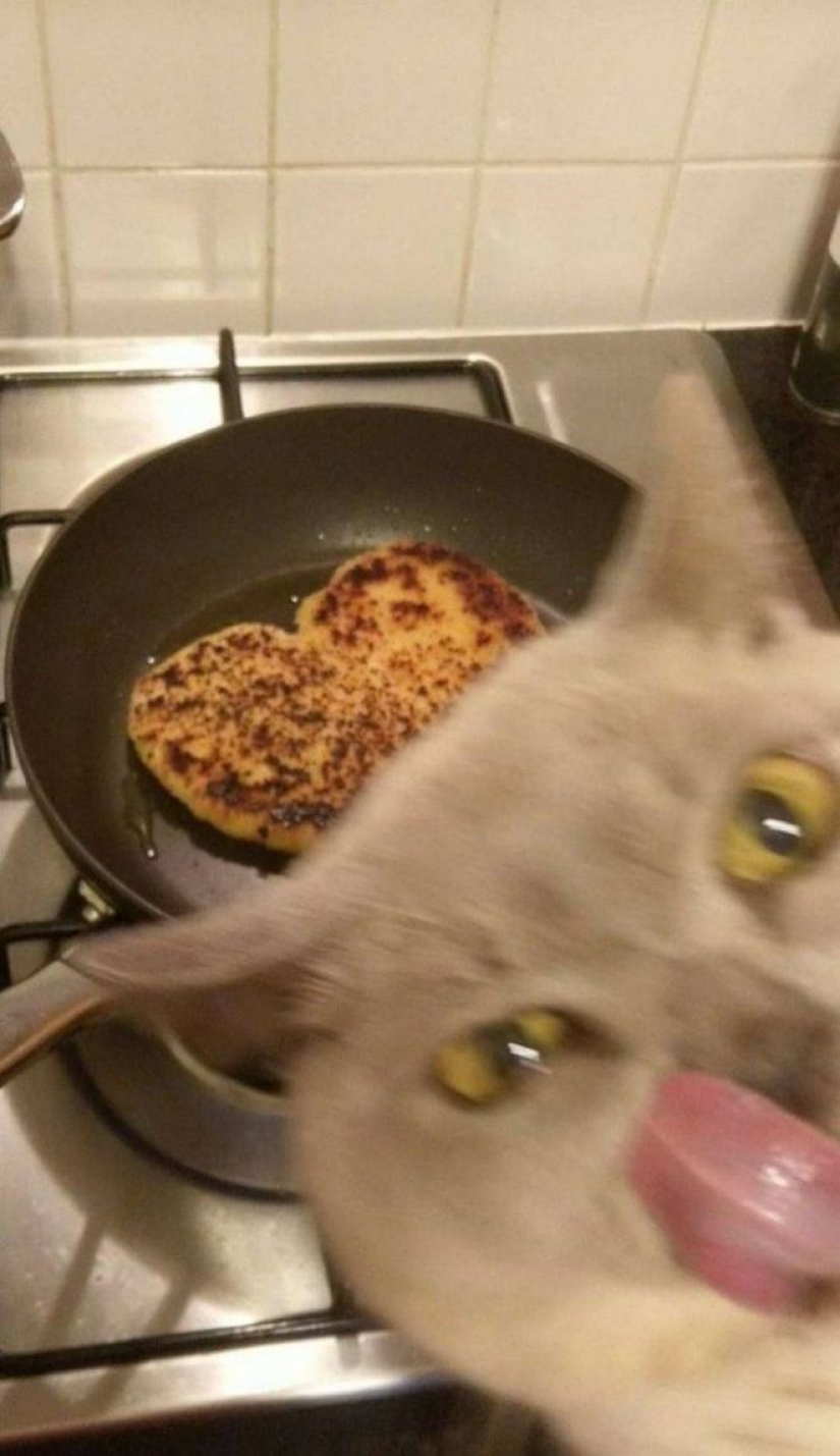 El hambre no es una tía: 25 fotos sobre un apetito maravilloso que definitivamente te hará reír El hambre no es una tía: 25 fotos sobre un apetito maravilloso que definitivamente te hará reír