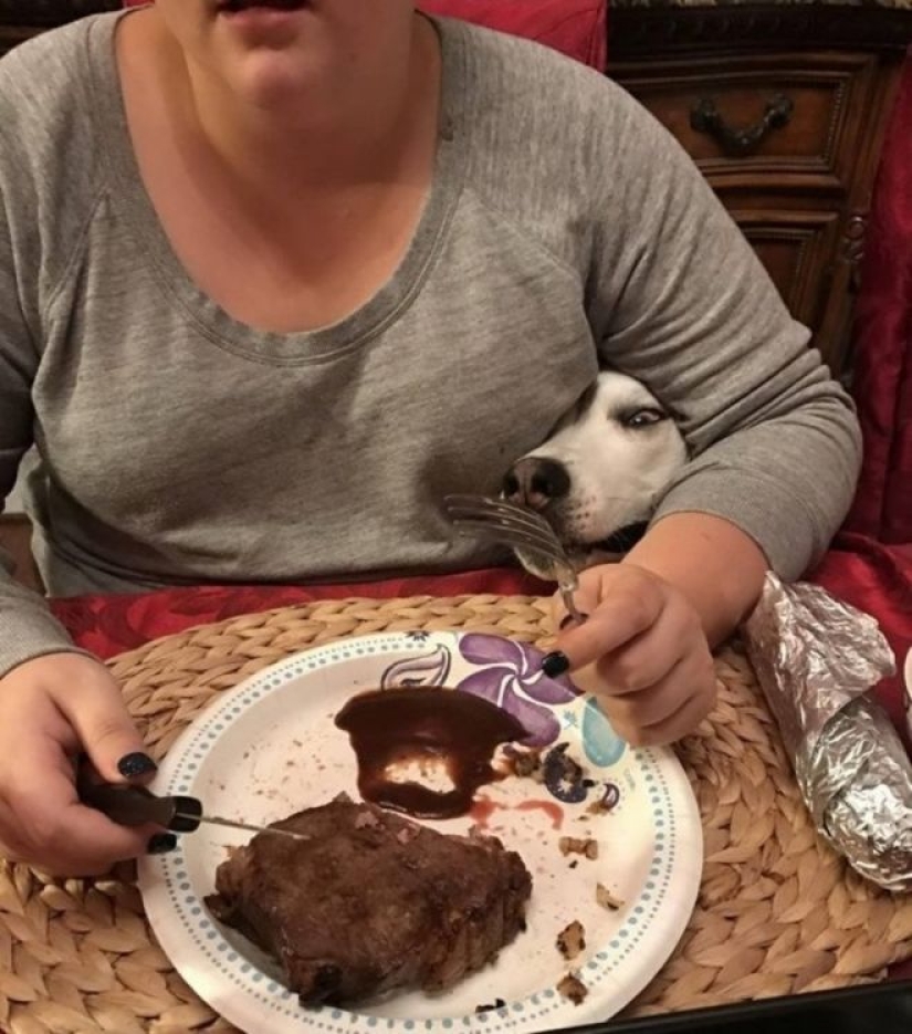 El hambre no es una tía: 25 fotos sobre un apetito maravilloso que definitivamente te hará reír El hambre no es una tía: 25 fotos sobre un apetito maravilloso que definitivamente te hará reír