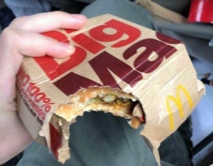 El hambre no es una tía: 25 fotos sobre un apetito maravilloso que definitivamente te hará reír El hambre no es una tía: 25 fotos sobre un apetito maravilloso que definitivamente te hará reír