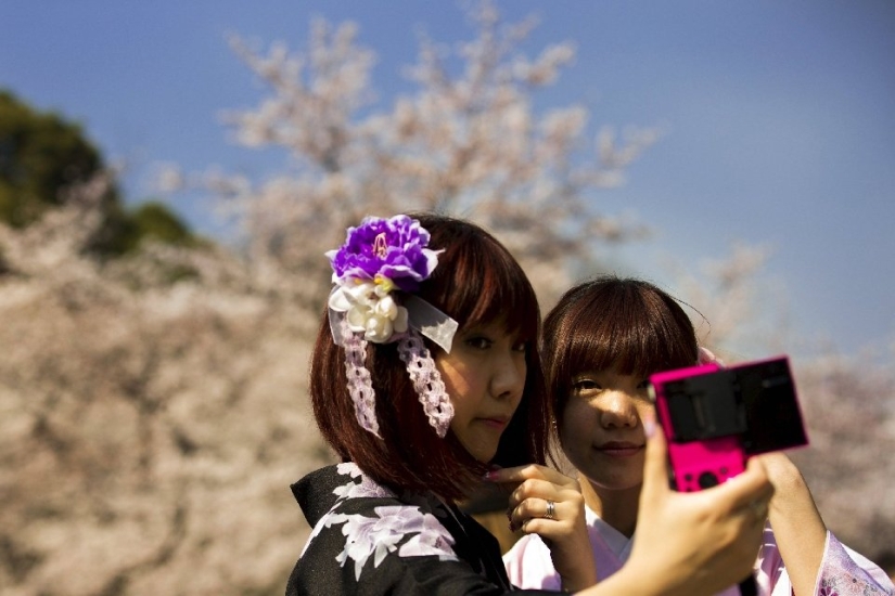 El Hanami es una tradición japonesa de admirar los cerezos en flor