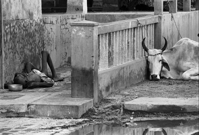 El hombre que lo vio todo: cómo Thomas Hepker capturó la historia