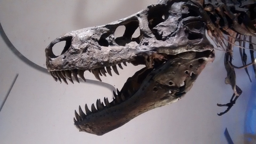 El hombre y un dinosaurio manso: qué estaría pasando ahora en el planeta si los dinosaurios no se hubieran extinguido