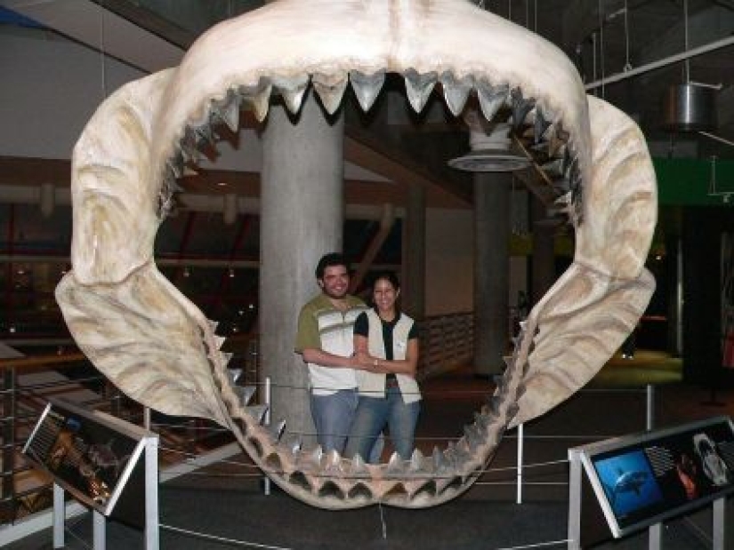 El hombre y un dinosaurio manso: qué estaría pasando ahora en el planeta si los dinosaurios no se hubieran extinguido