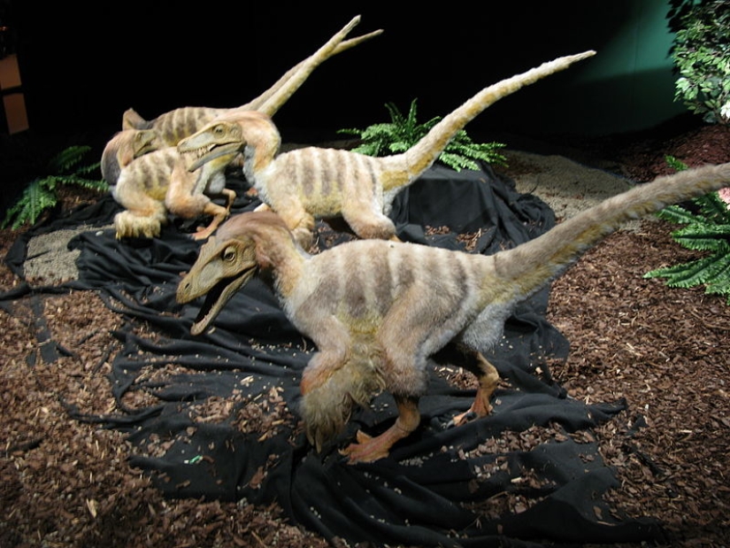 El hombre y un dinosaurio manso: qué estaría pasando ahora en el planeta si los dinosaurios no se hubieran extinguido