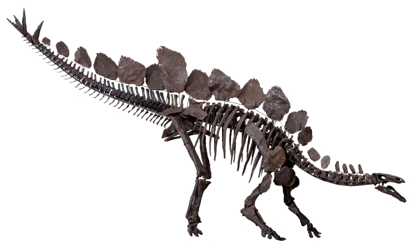El hombre y un dinosaurio manso: qué estaría pasando ahora en el planeta si los dinosaurios no se hubieran extinguido