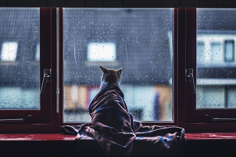 ¡El invierno está llegando! 10 formas sencillas de aislar tu hogar ¡El invierno está llegando! 10 formas sencillas de aislar tu hogar