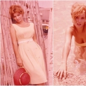 El italiano belleza Scilla Gabel — suplente Sophia Loren El italiano belleza Scilla Gabel — suplente Sophia Loren