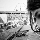 El álbum familiar más bonito