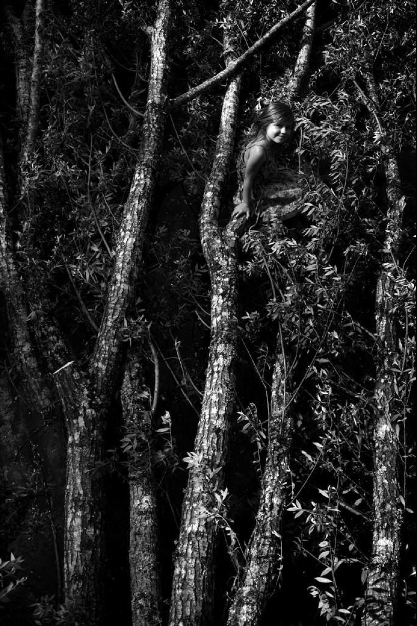 El álbum familiar más bonito El álbum familiar más bonito