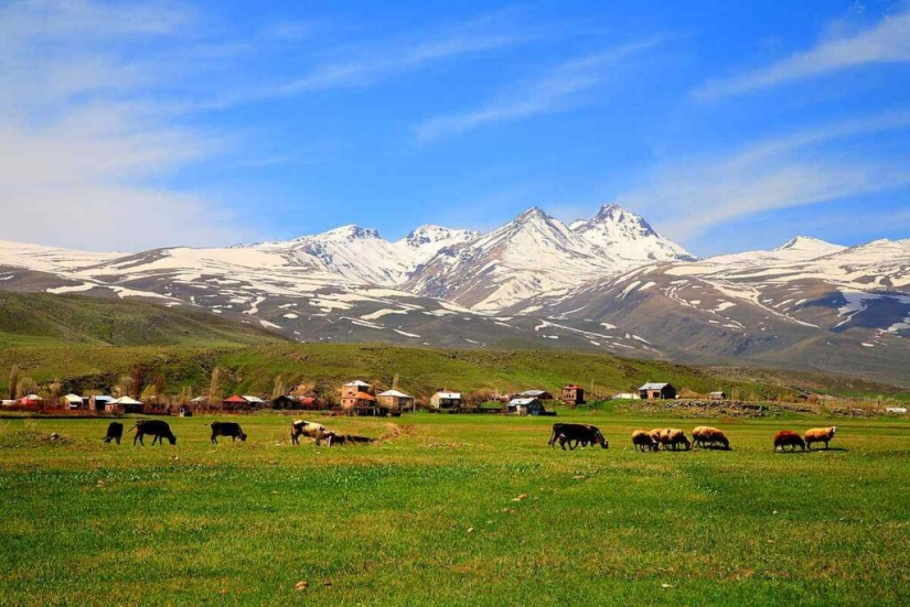 El misterio del anómalo monte Aragats armenio, donde los objetos ruedan hacia arriba El misterio del anómalo monte Aragats armenio, donde los objetos ruedan hacia arriba