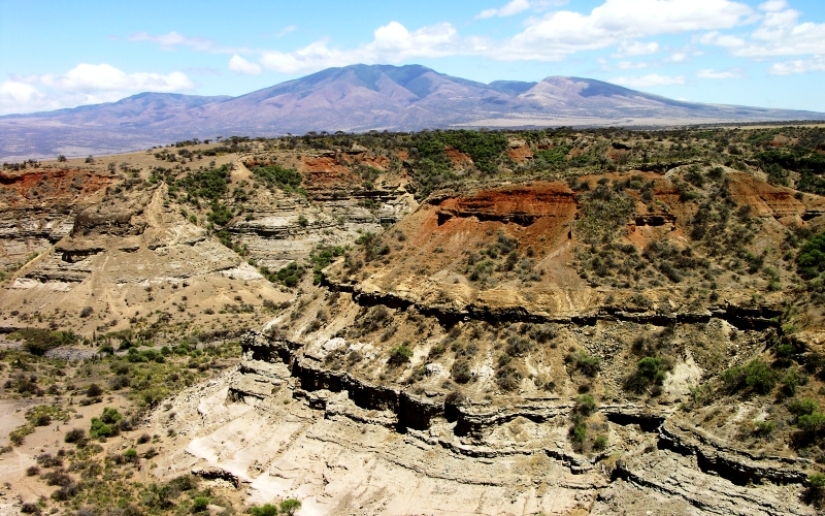 El misterioso esqueleto de Hans Reck, que estuvo enterrado durante un millón de años El misterioso esqueleto de Hans Reck, que estuvo enterrado durante un millón de años