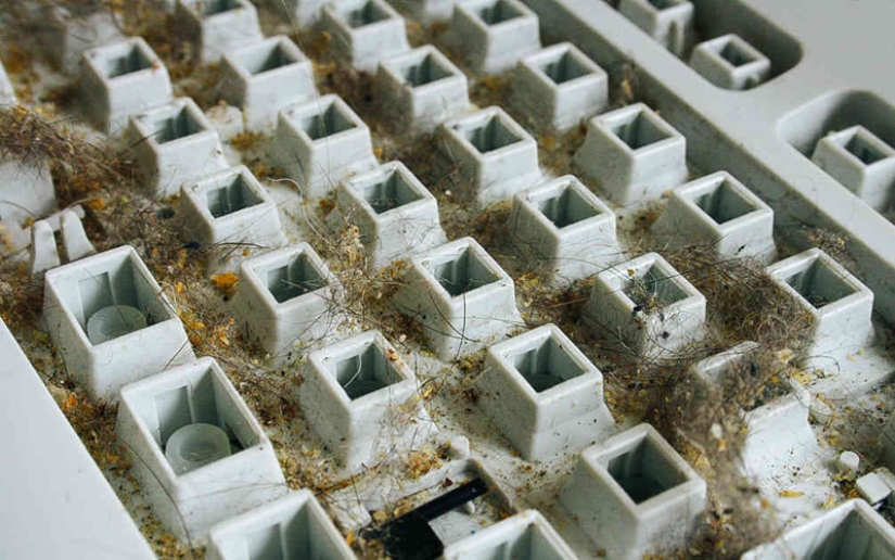 El más sucio lugar en cualquier apartamento El más sucio lugar en cualquier apartamento