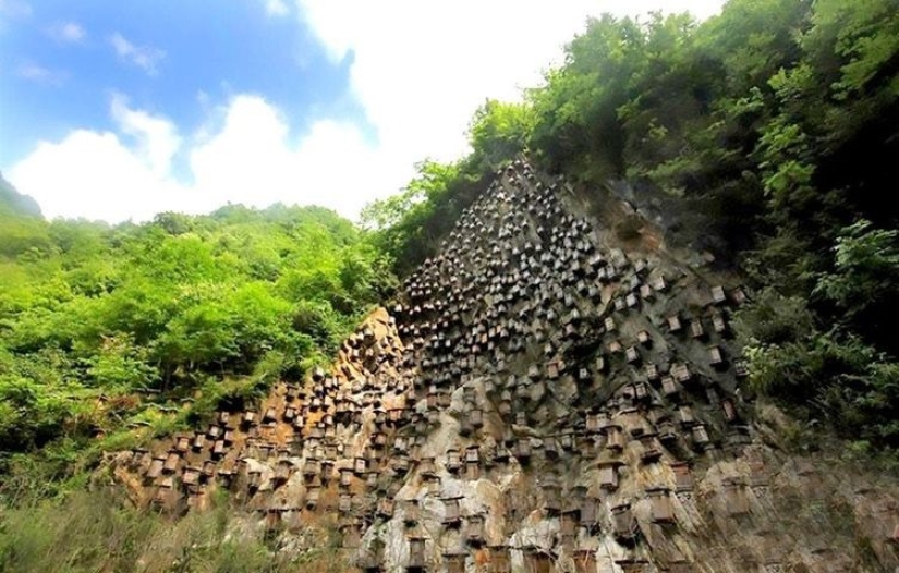 El único muro de colmenas es el único santuario de abejas silvestres en China El único muro de colmenas es el único santuario de abejas silvestres en China
