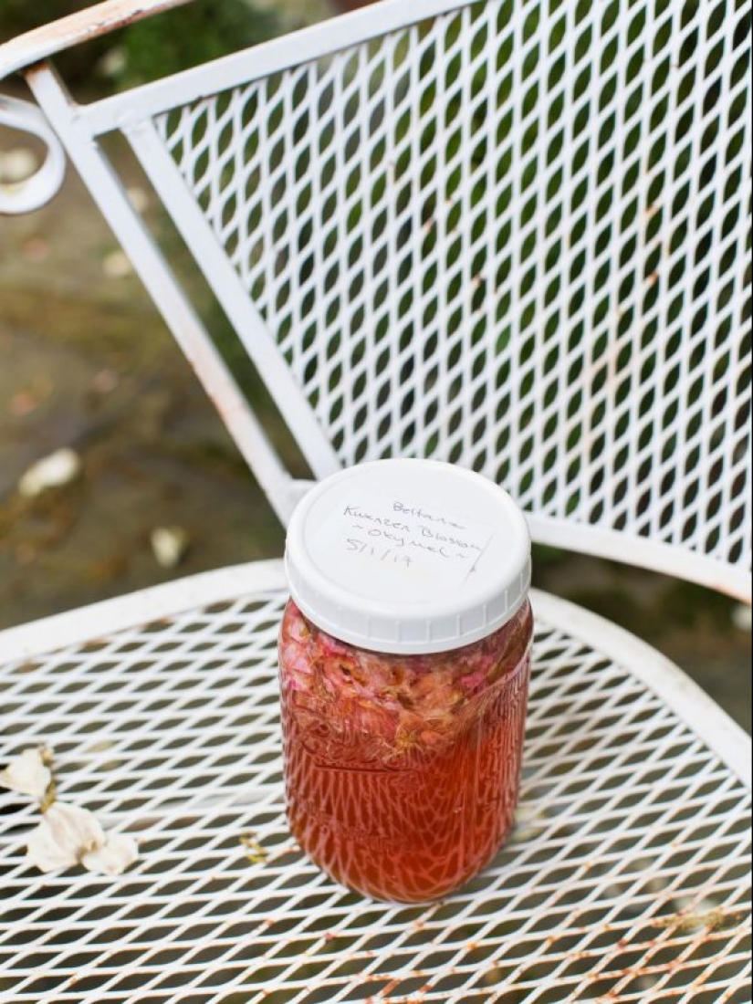 El único proyecto de "las Brujas de América"