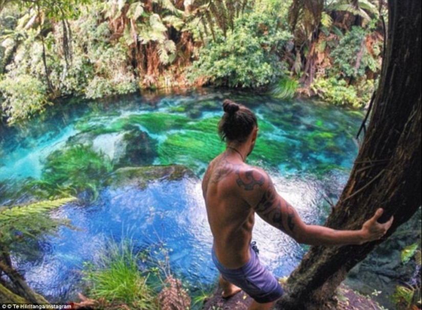 El paraíso con el más transparente de agua en el mundo El paraíso con el más transparente de agua en el mundo