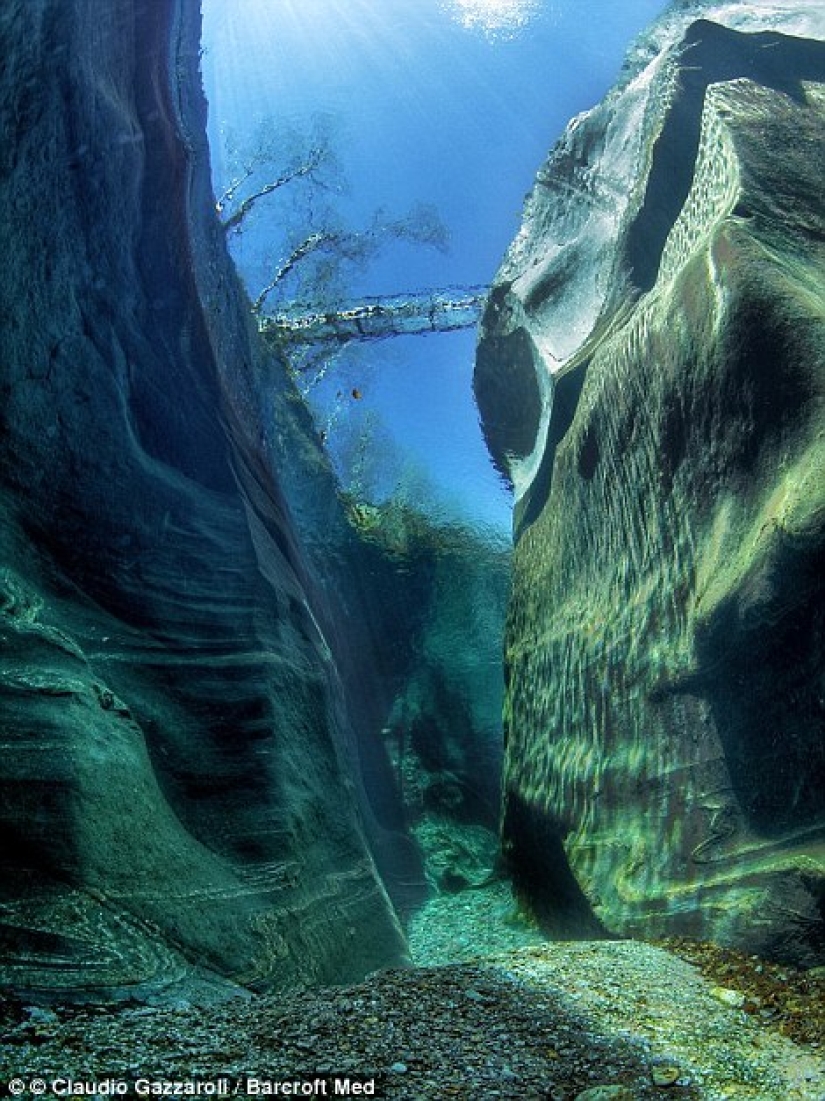 El paraíso con el más transparente de agua en el mundo El paraíso con el más transparente de agua en el mundo