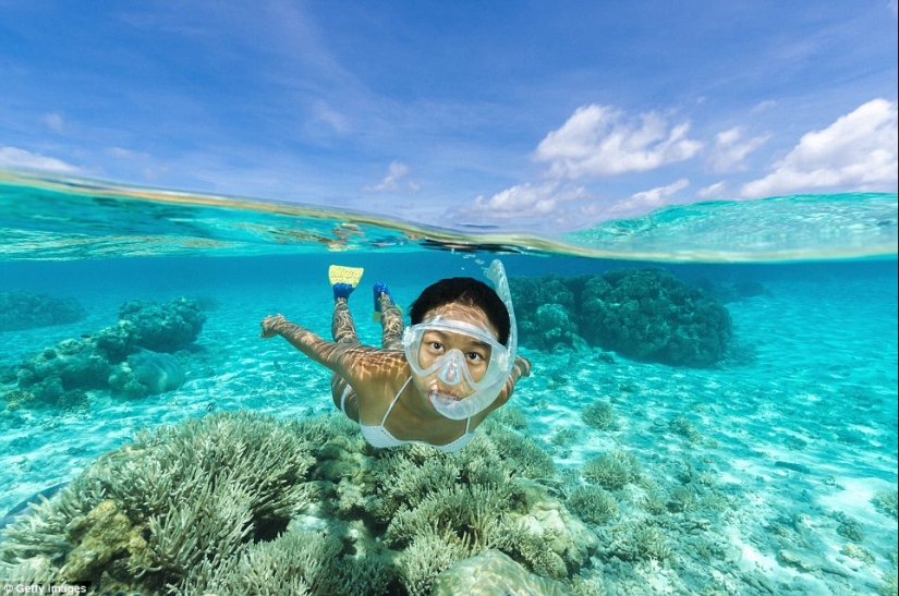 El paraíso con el más transparente de agua en el mundo El paraíso con el más transparente de agua en el mundo