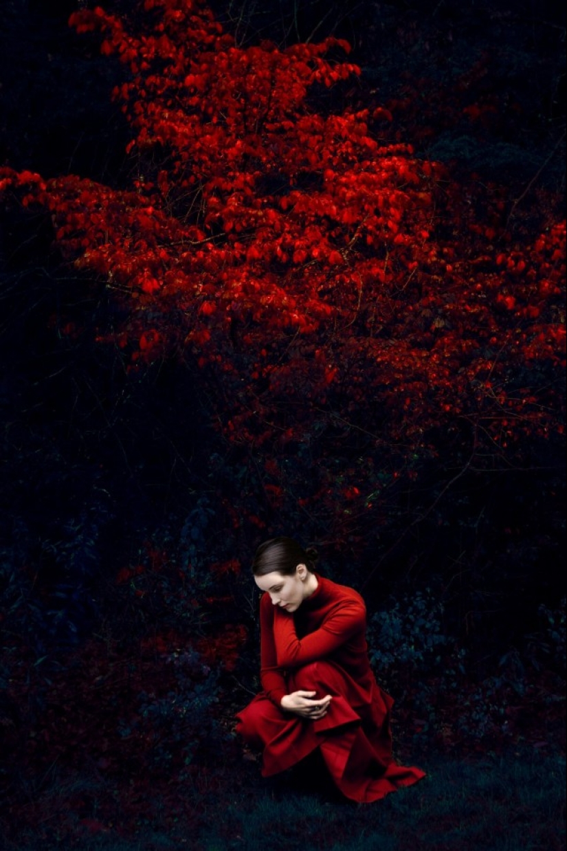 El pintor con cámara Eric Madigan Heck y sus mágicos juegos con el color El pintor con cámara Eric Madigan Heck y sus mágicos juegos con el color